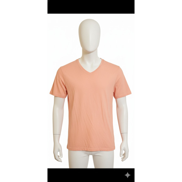 Projek Raw Liquid Cotton Unisex Basic V-Neck Salmon color Relaxed Tee Size Small - Picture 2 of 7